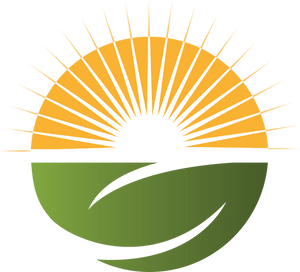 Wellsource Logo that is a circle with some abstract design with the upper half being the sun shinning and the lower half being green.
